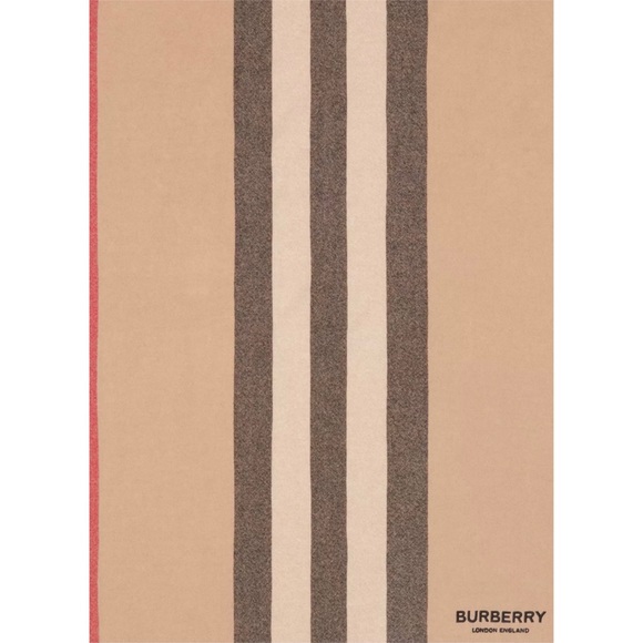 Burberry - Icon Stripe Wool Cashmere Scarf - Picture 3 of 16
